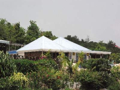B&B Acacia